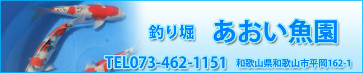 ނx@